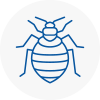 Bed Bug Extermination In Hartshill
